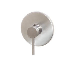 Concealed Mixer Tap | Moon Brushed Stainless Steel