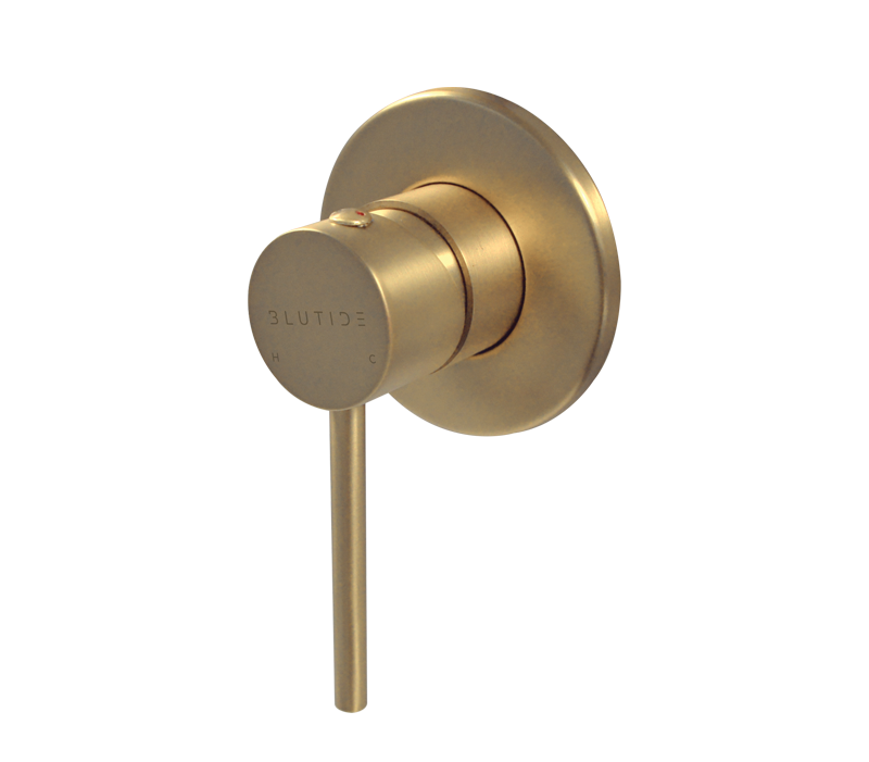 Concealed Shower Mixer | Neo Brushed Brass